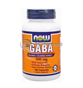 GABA + B-6 - 500 mg. / 100 Caps.