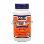 L-Ornithine - 500 mg. / 60 Caps.