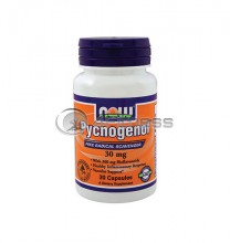 Pycnogenol - 30 mg / 30 Caps.