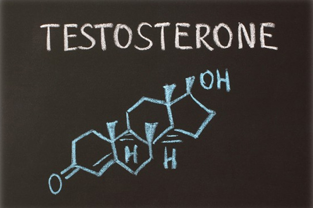 Мазнините и тестостеронът