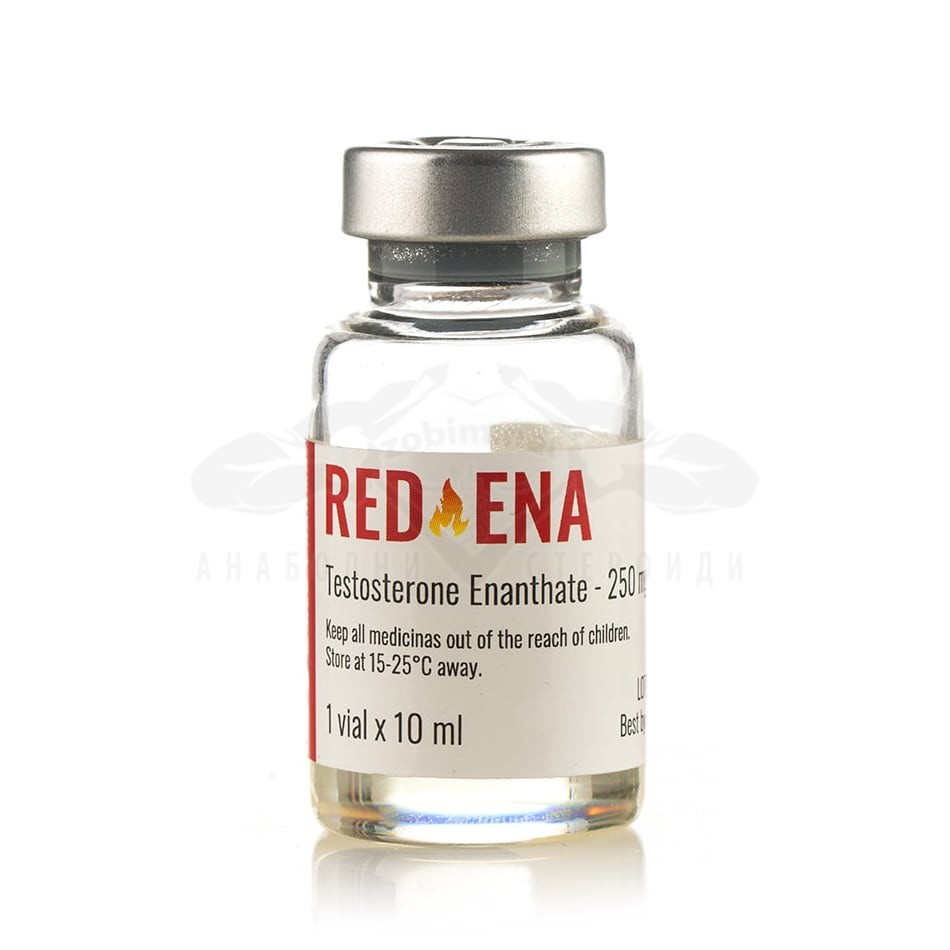 Red Ena 250 (Testosterone Enanthate) – 10 мл. х 250 мг.
