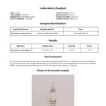 RED BOLD inj_page-0001
