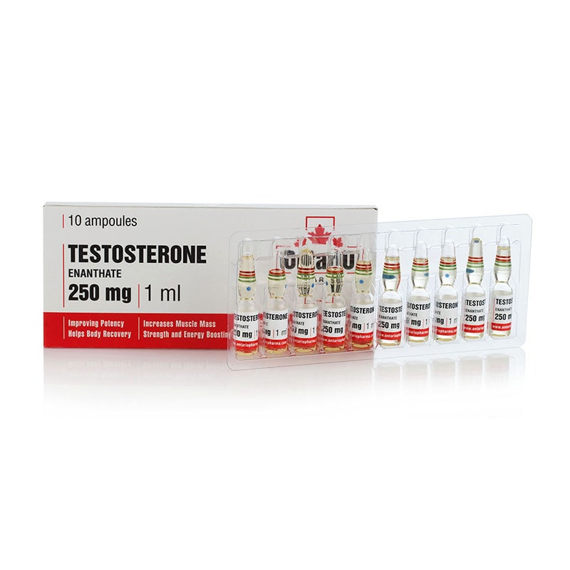 Testosterone Enanthate – 10 амп. х 250 мг.